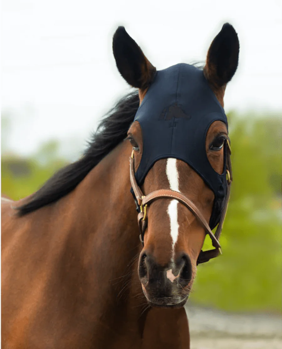 Fenwick Liquid Titanium Maske