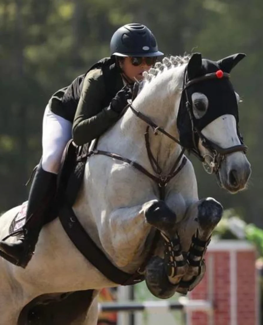 Fenwick Liquid Titanium Maske med ører