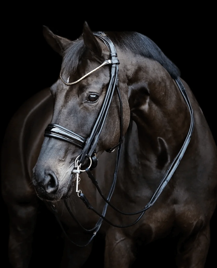 Finesse Kandar Cassidy Sort/Lak/Sølv