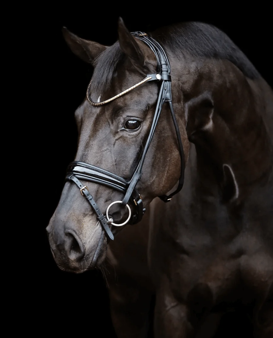 Finesse Bridles Cassidy Trense sort/lak/guld