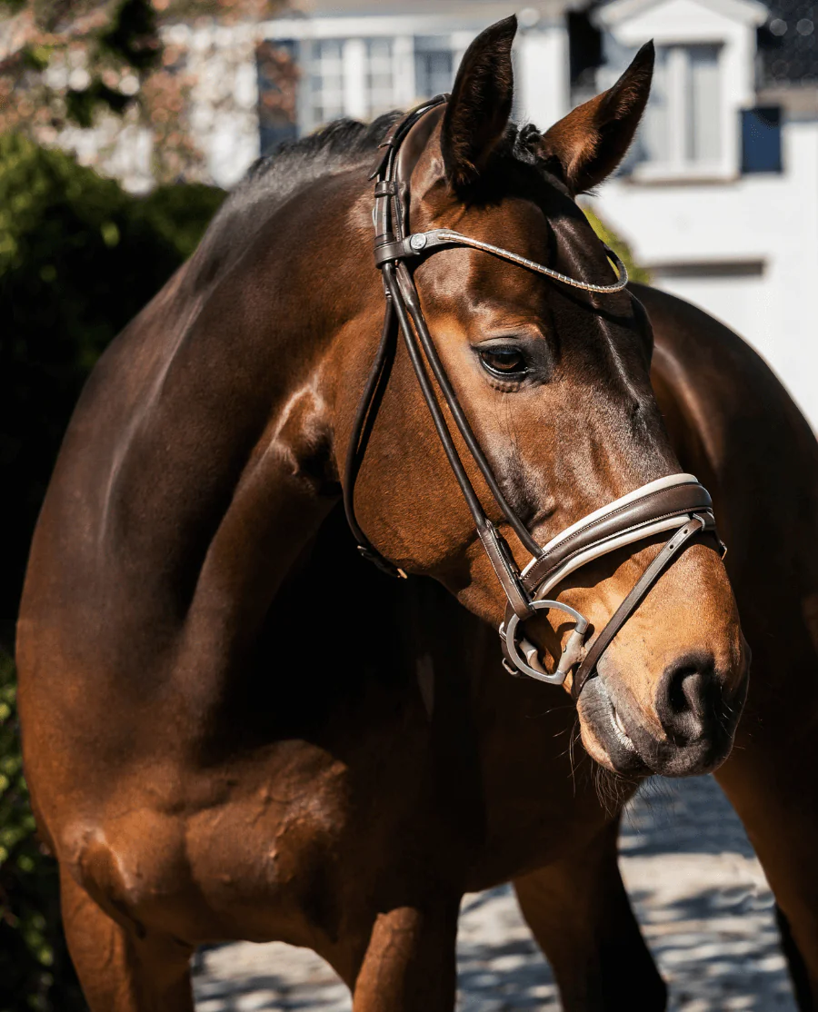 Finesse Trense Cassidy Brun/Beige/Guld