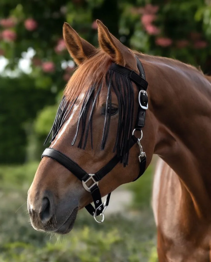 Waldhausen Fluepandebånd m. frynser