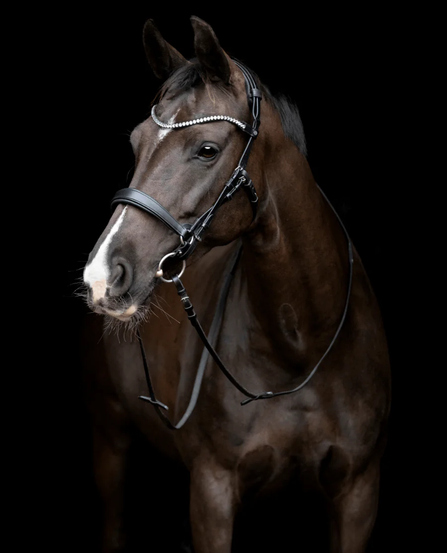 CATAGO Gentle Bridle Komplet Trense