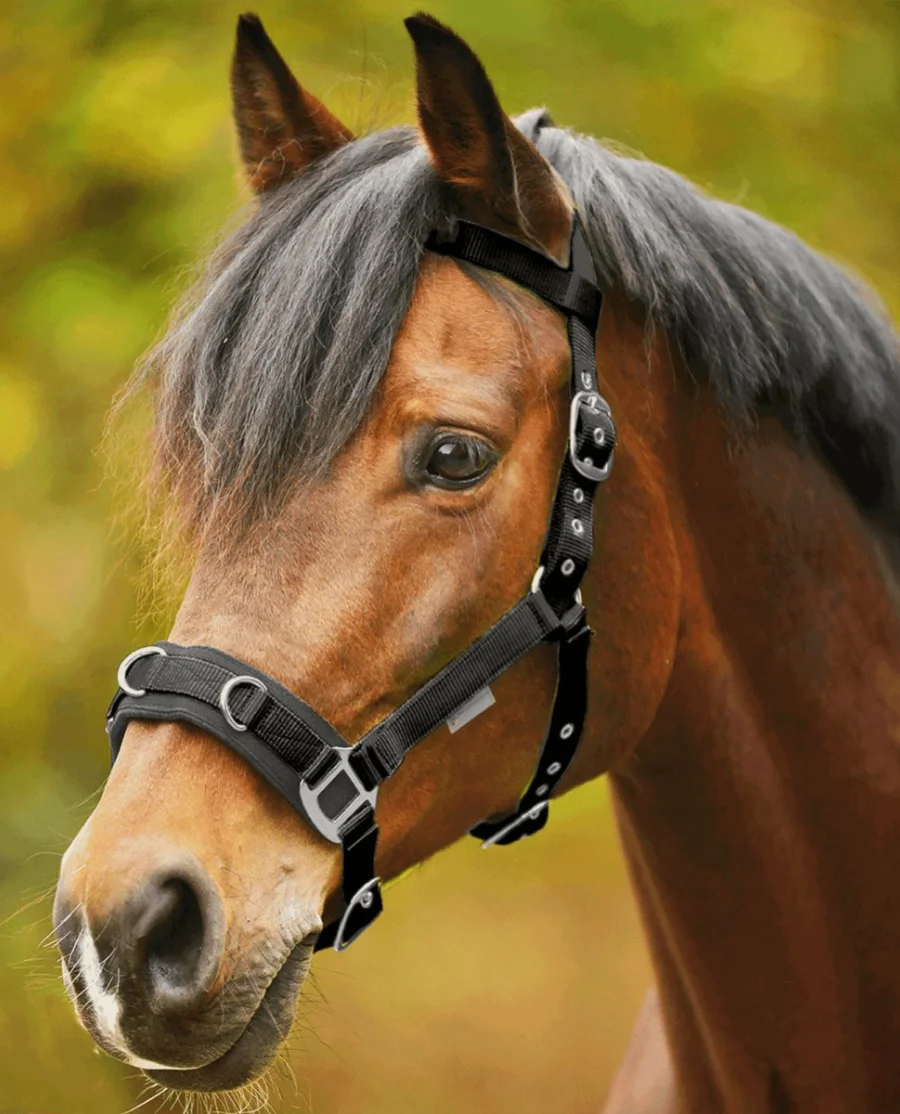 Waldhausen Ergonomisk Kapsun