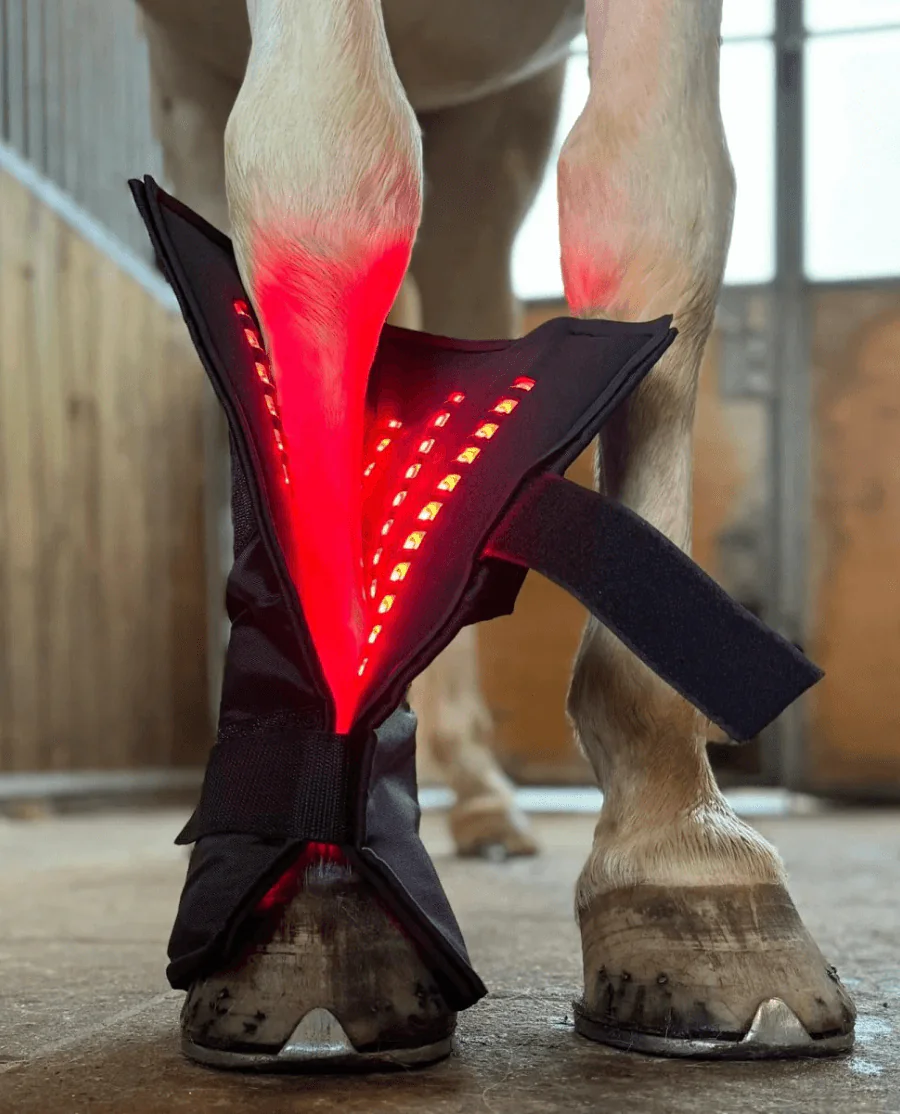 Equine LTS Red Edition + 2 elastikker