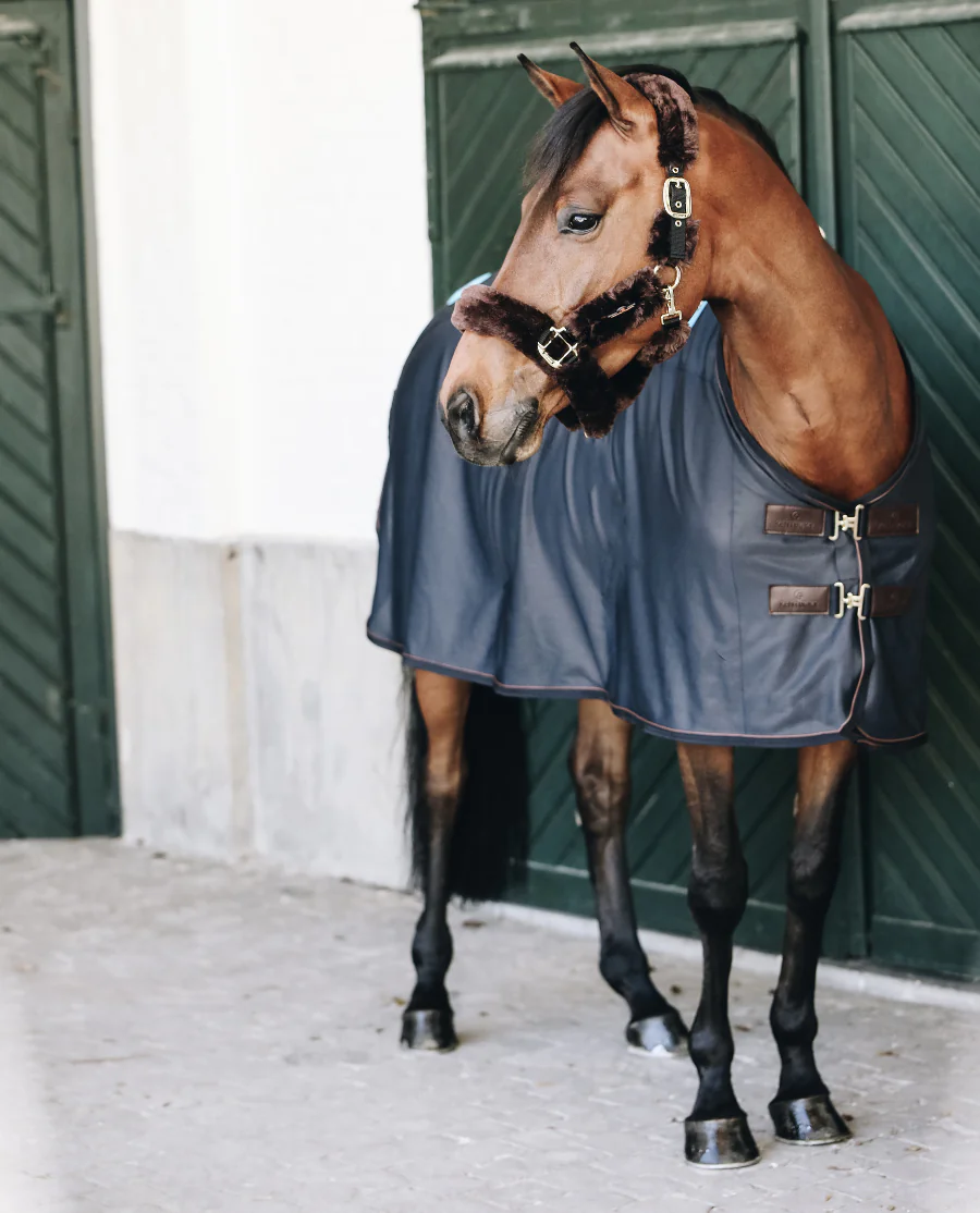 Magnetic Rug Recuptex fra Kentucky Horsewear