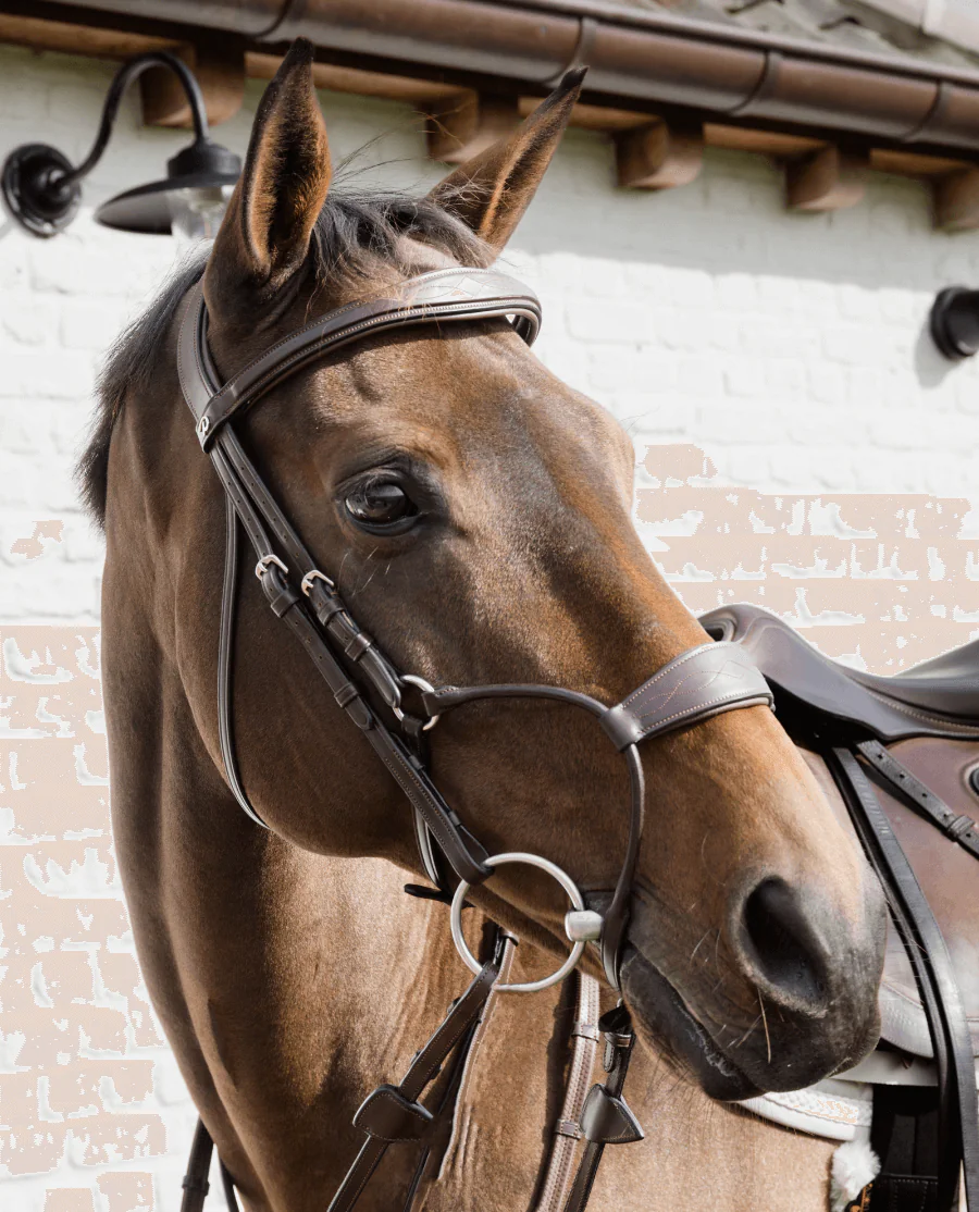 Dy'on Hybrid Trense New English Collection