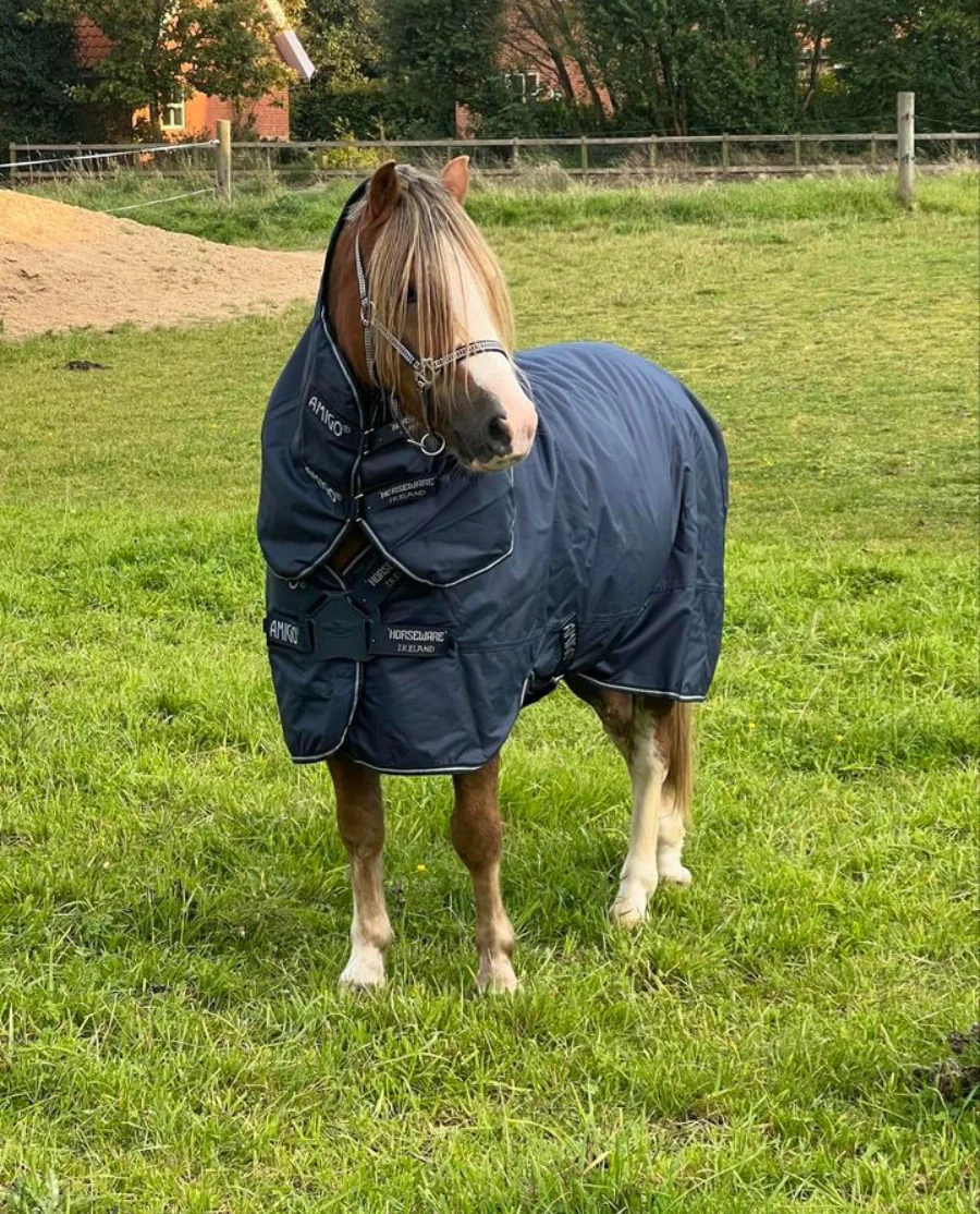 Navy, Navy with silver