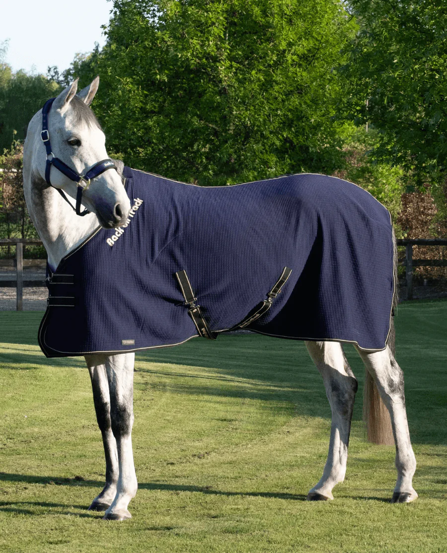 Quick Cooler Sveddækken fra Back on Track