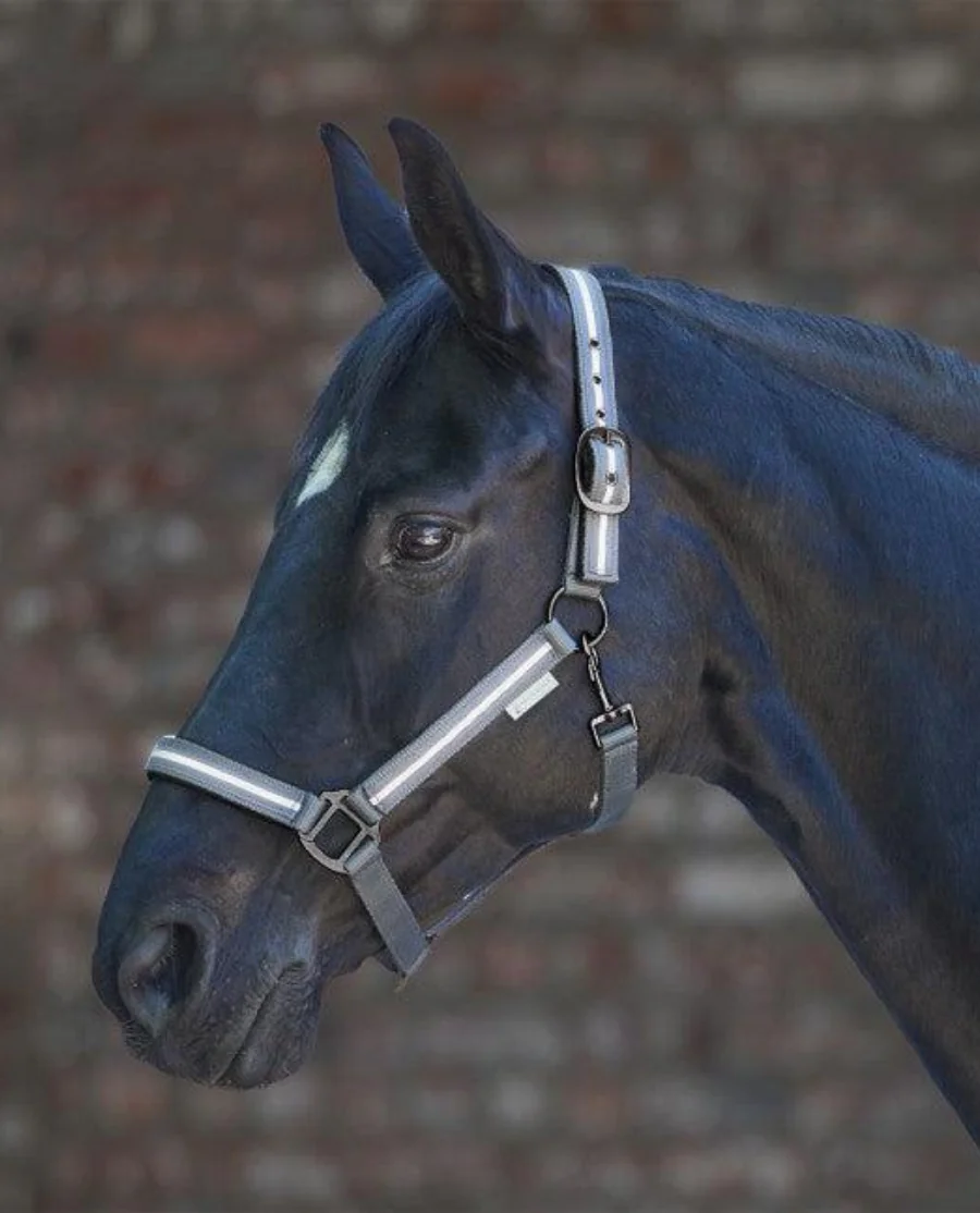 Waldhausen Refleks Grime 