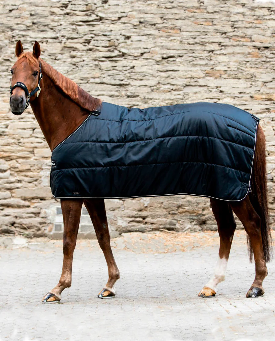 Rhyolite Insulated Liner 200G fra Back on Track