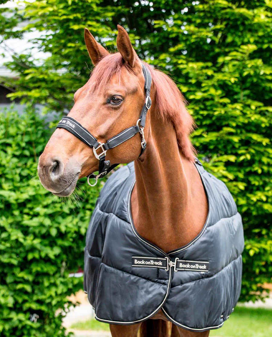 Rhyolite Insulated Liner 100G fra Back on Track