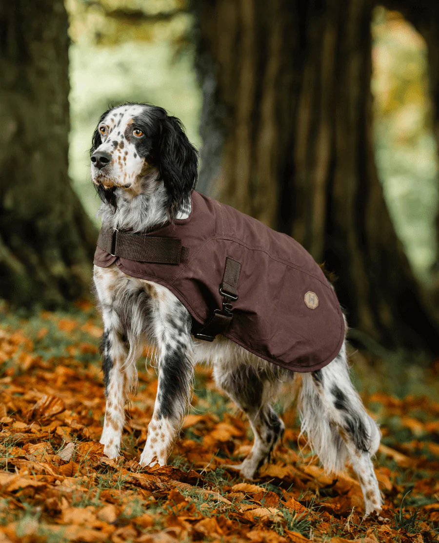 Horseware Newmarket Heritage Hundedækken