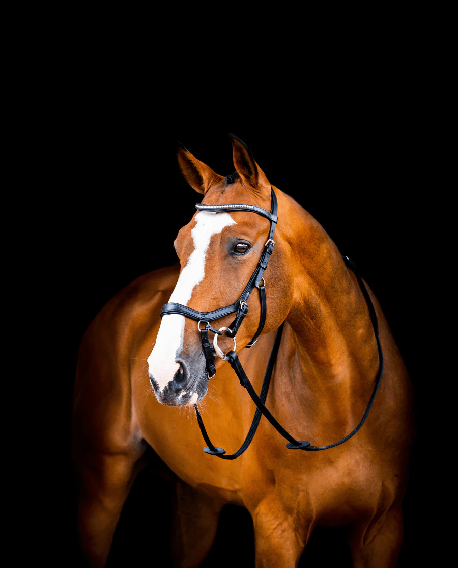 Micklem II Diamante Competition Trense fra Horseware