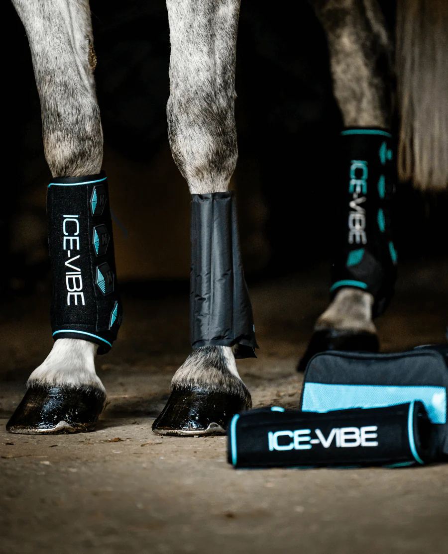 Ice-Vibe Leg Wraps fra Horseware