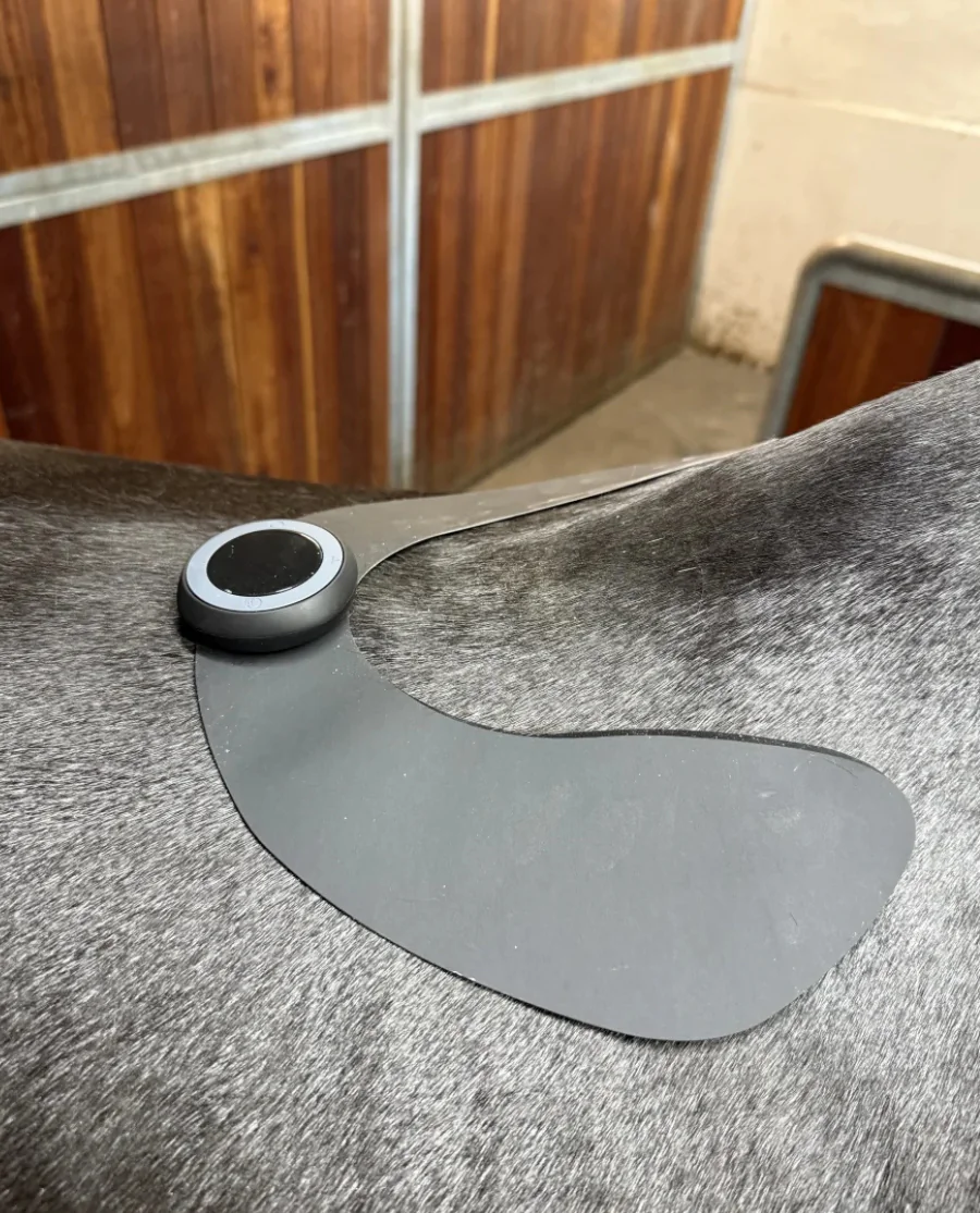  Equine LTS STOR pad til LTS Tens