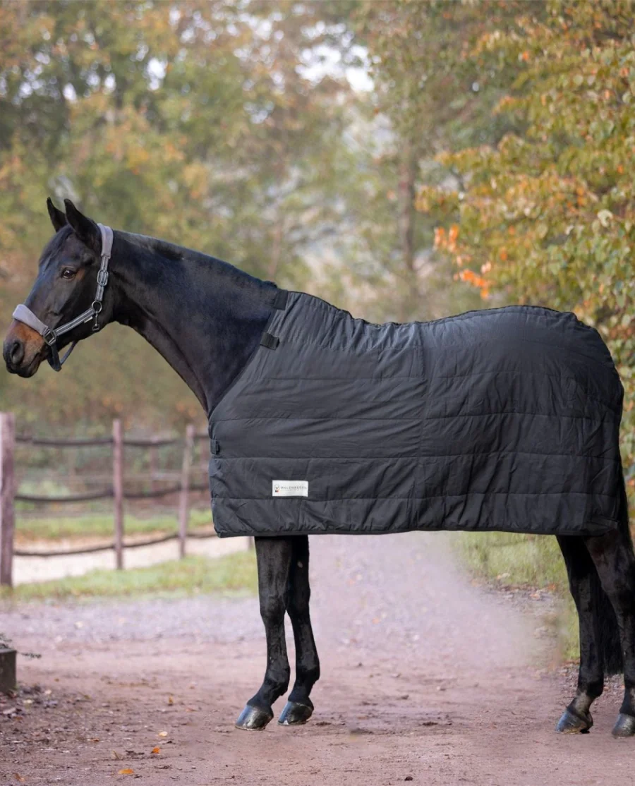 Waldhausen Thermo Liner 100g