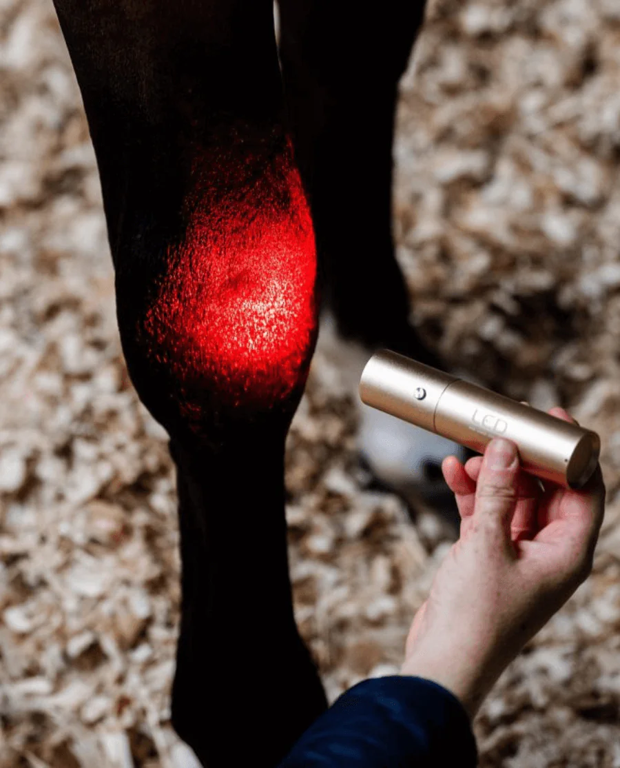 LED Red Light Therapy Wand fra Horseware