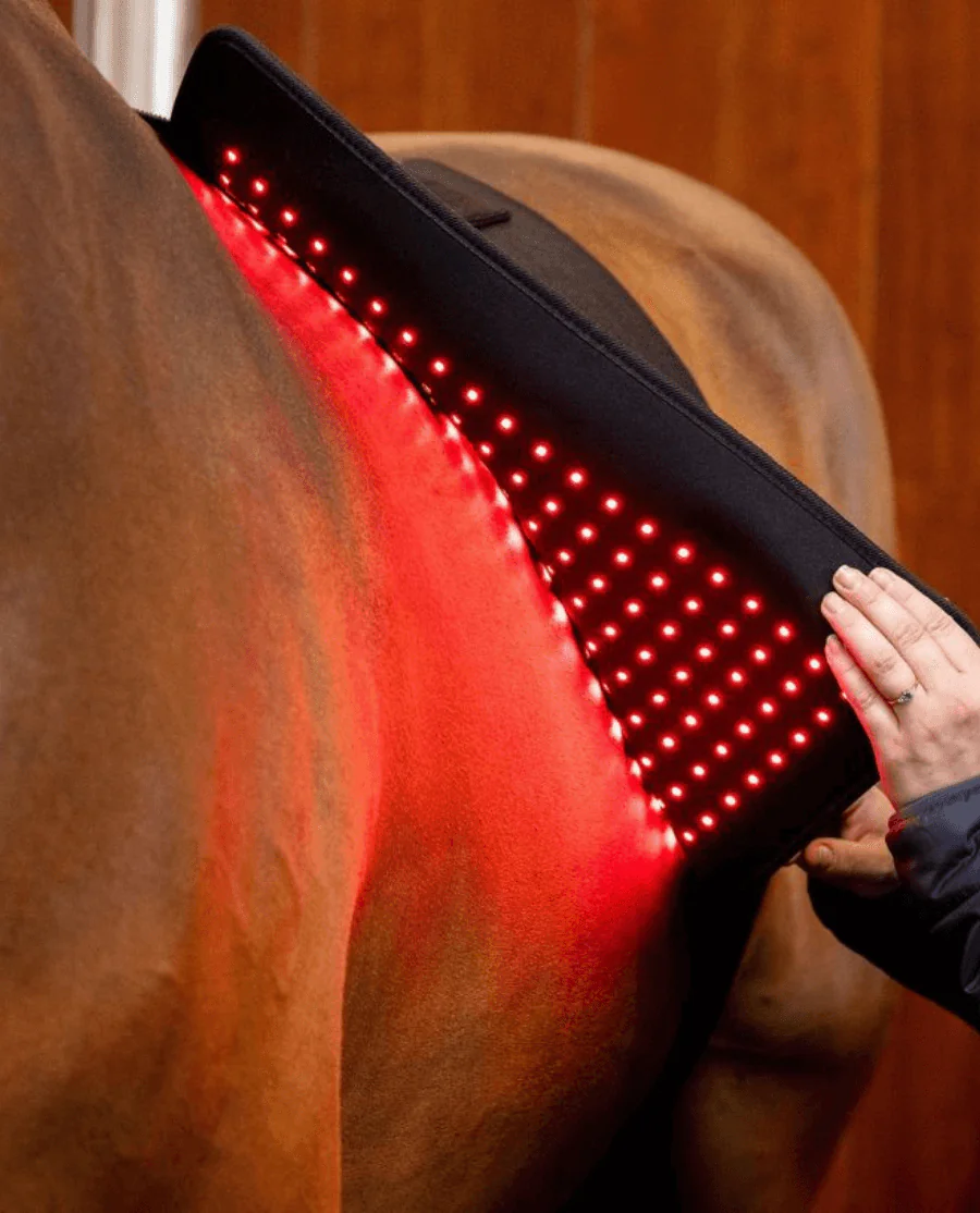 LED Red Light Therapy Pad fra Horseware