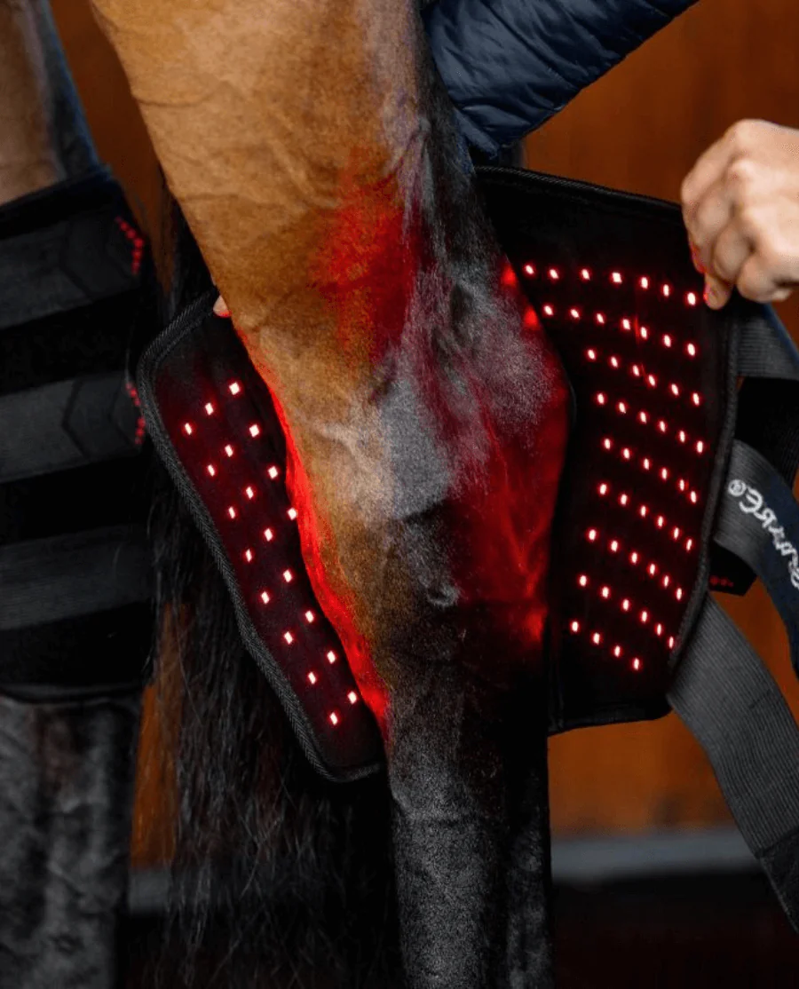 LED Red Light Therapy Hasebandage fra Horseware
