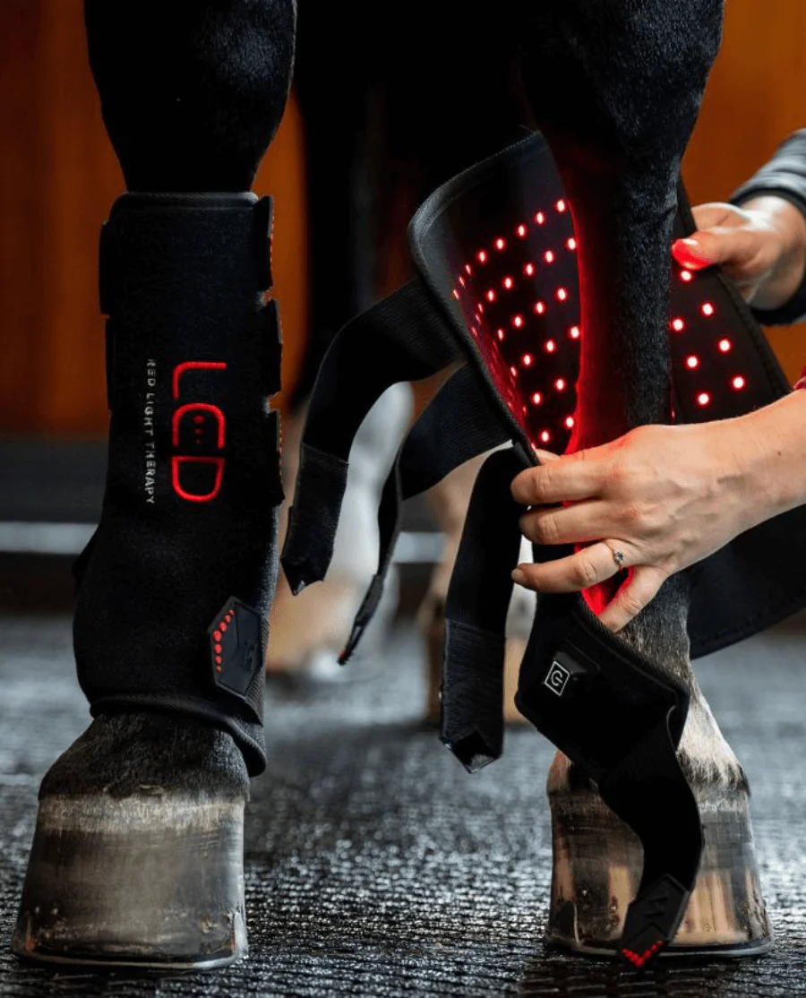 LED Red Light Therapy Leg Wrap fra Horseware