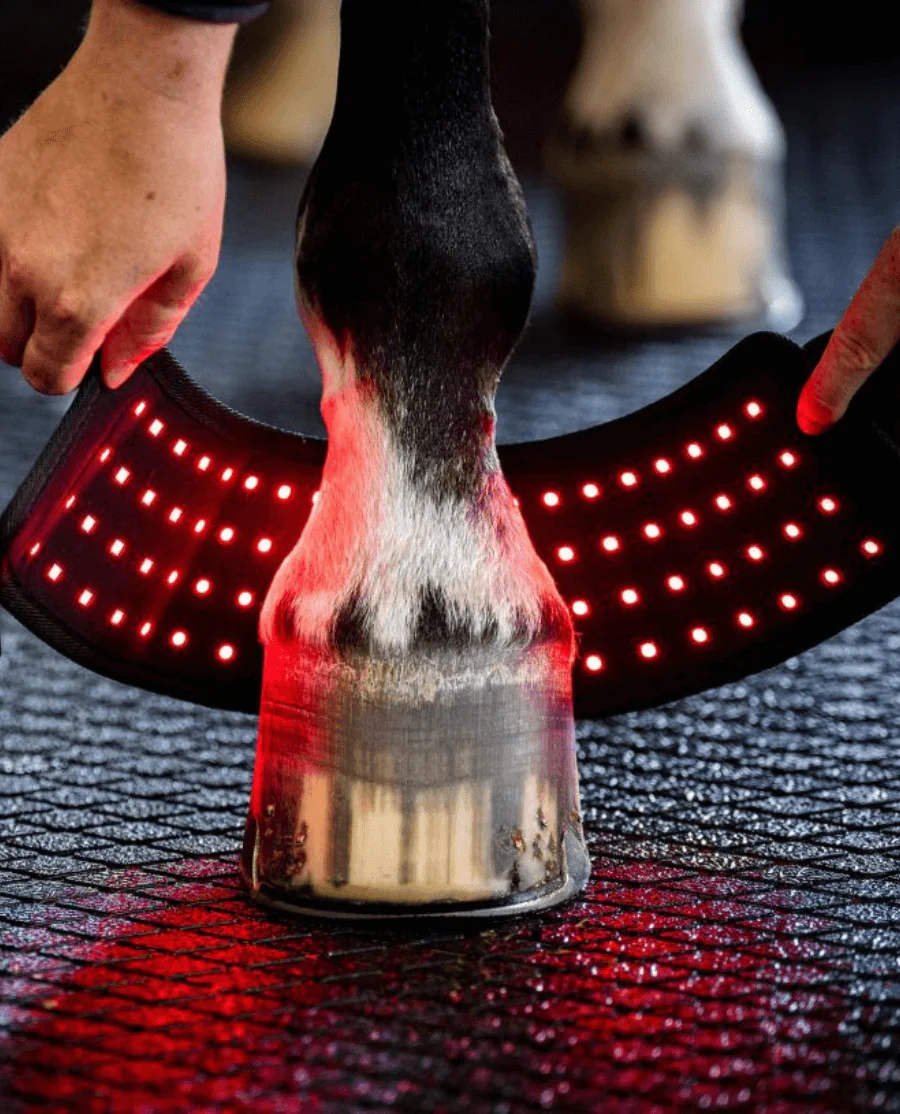 LED Red Light Therapy Mini Wrap fra Horseware