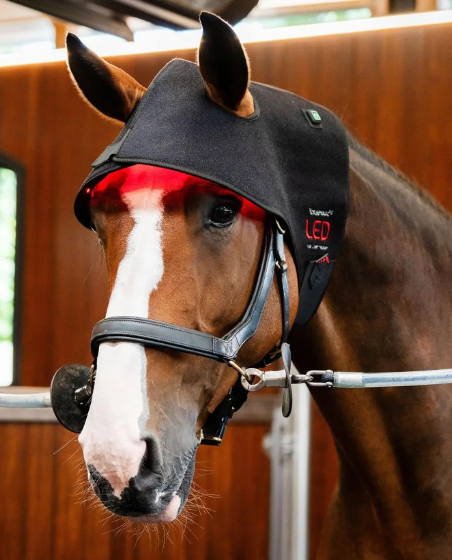 LED Red Light Therapy Poll Cap fra Horseware