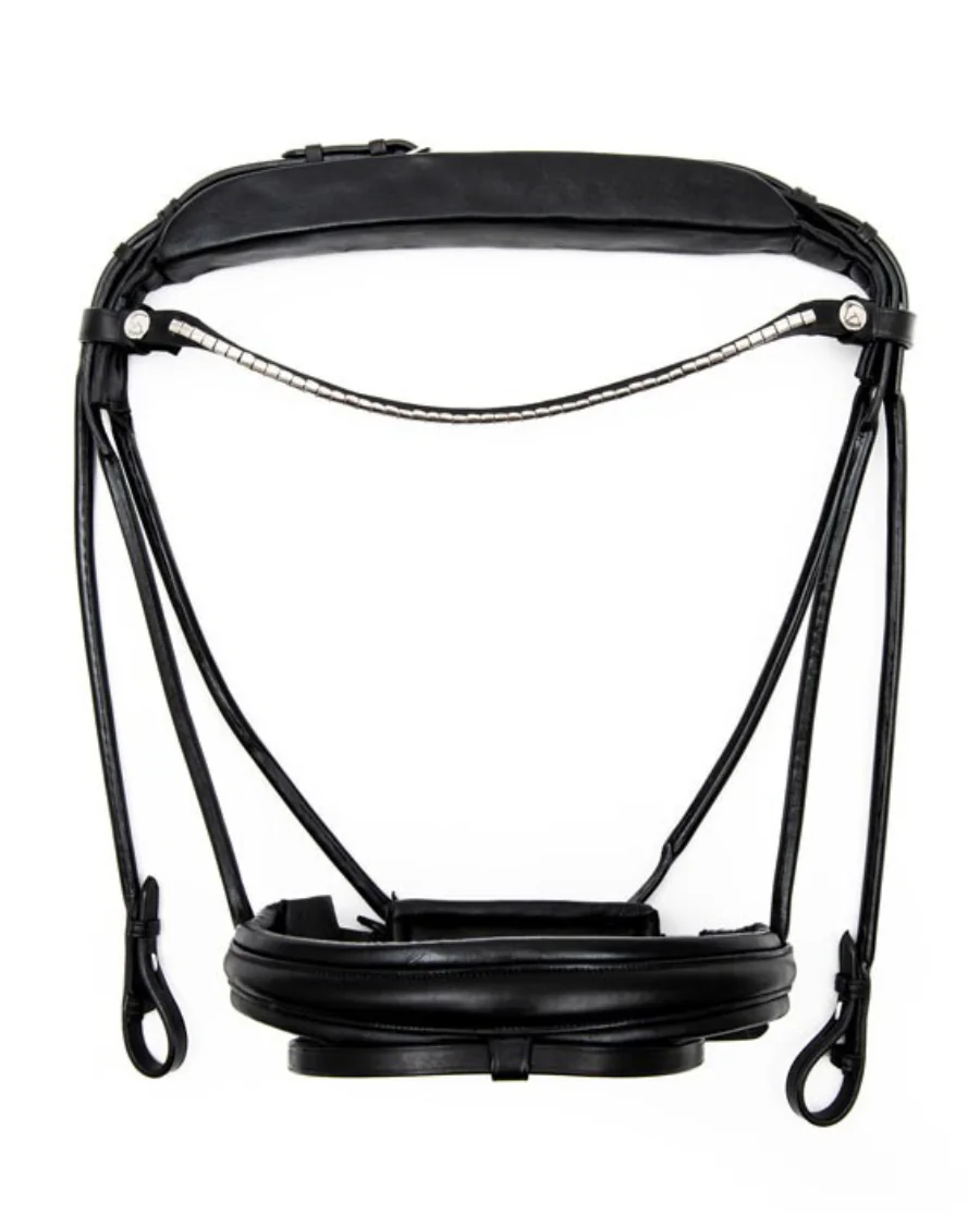 FinesseBridles Cassidy sort/sort/sølv