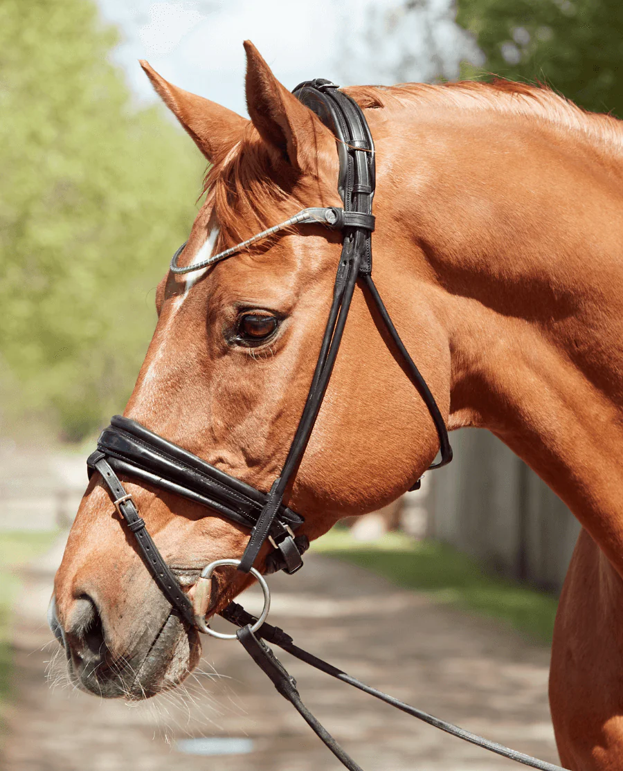 FinesseBridles Cassidy Trense i sort/sort/lak/sølv
