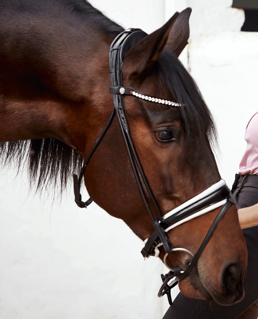 FinesseBridles Cassidy Trense sort/hvid/sølv