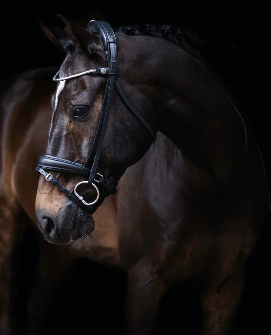 Finesse Bridles Trense Cayenne sort/sølv