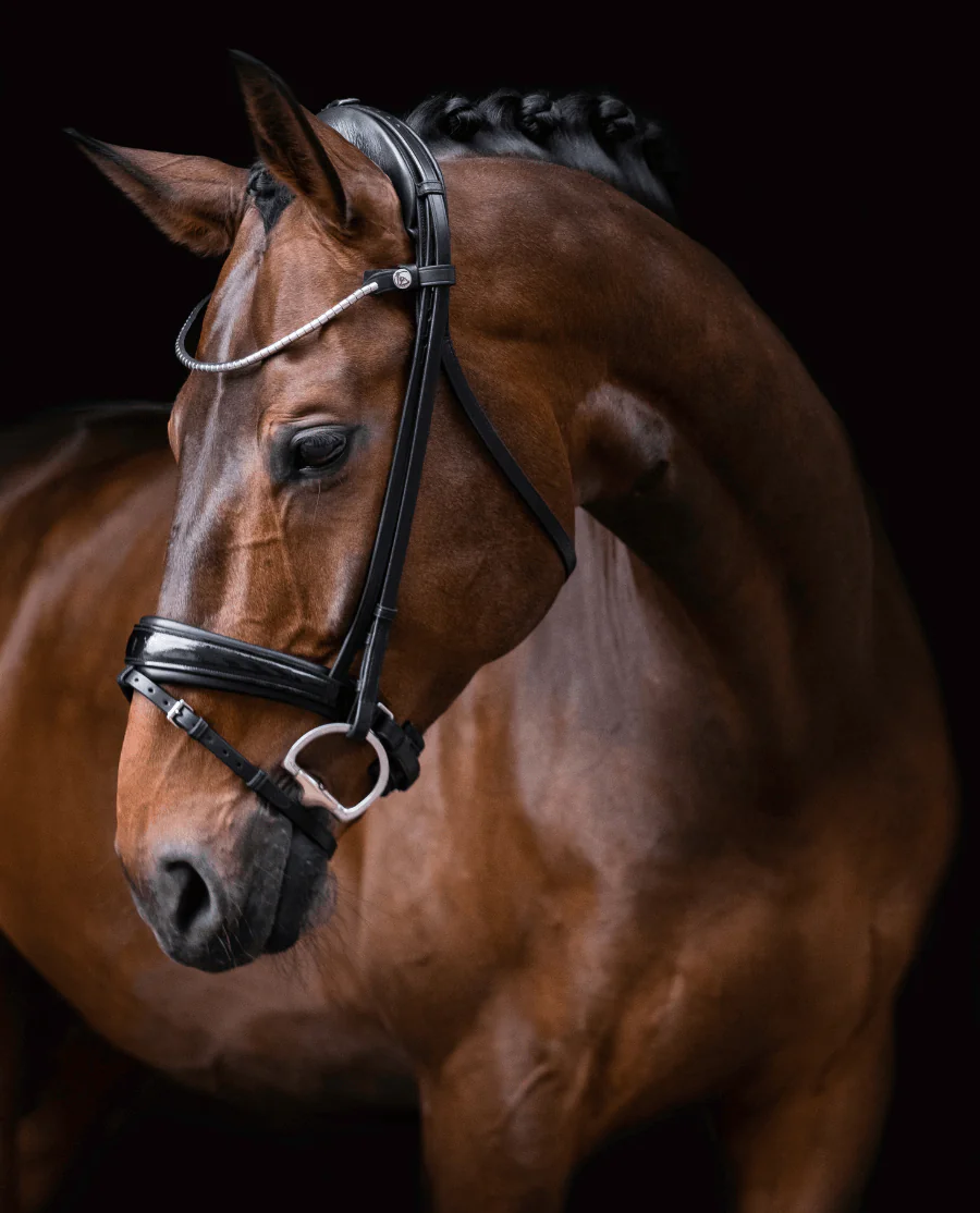 FinesseBridles Trense Cayenne sort/lak/sølv