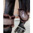 Sheepskin Young Horse Fetlock Boots fra Kentucky Horsewear-Brown/Brown
