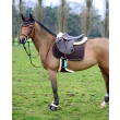 Pladegjord med Lammeskind fra Kentucky Horsewear-Brown