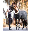 Show Rug fra Kentucky Horsewear-Black