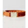 Hundehalsbånd Velvet fra Kentucky-Orange