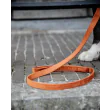 Hundesnor Velvet 2M fra Kentucky-Orange