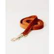 Hundesnor Velvet 2M fra Kentucky-Orange