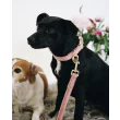 Hundesnor Velvet 2M fra Kentucky-Old Rose