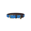 Plaited Nylon Hundehalsbånd fra Kentucky-Light Blue