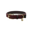 Plaited Nylon Hundehalsbånd fra Kentucky-Bordeaux