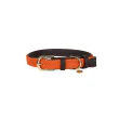 Plaited Nylon Hundehalsbånd fra Kentucky-Orange