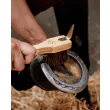 hoof pick grooming deluxe