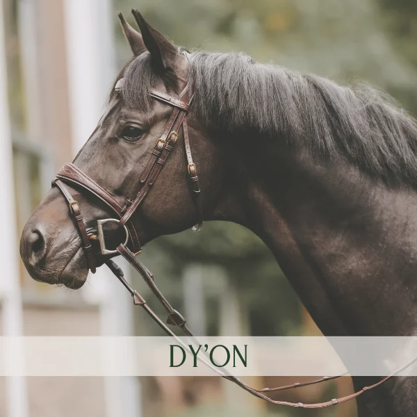 Shop Dyón Shop Dyón