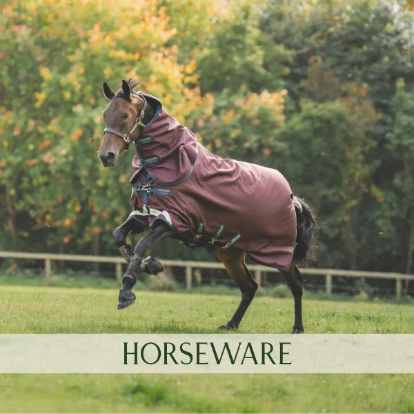 Se udvalg af horseware Se udvalg af horseware