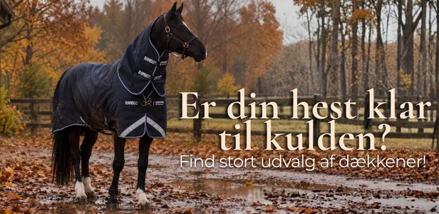 Ariat nyheder Ariat nyheder
