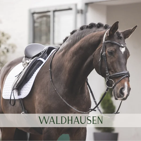 Shop Waldhausen Shop Waldhausen